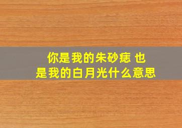 你是我的朱砂痣 也是我的白月光什么意思